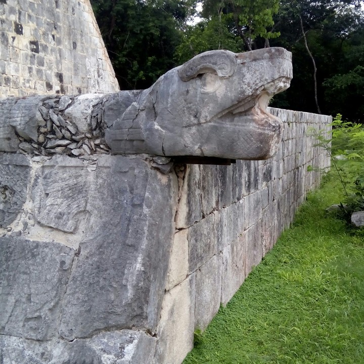 serpiente