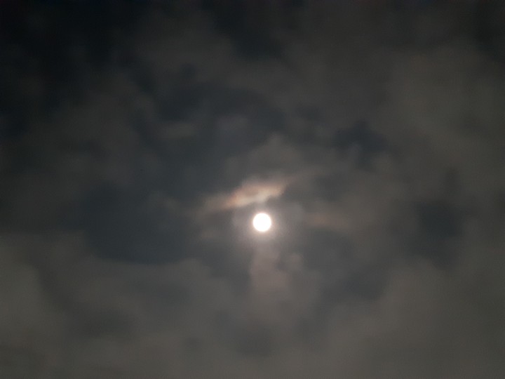 밤하늘