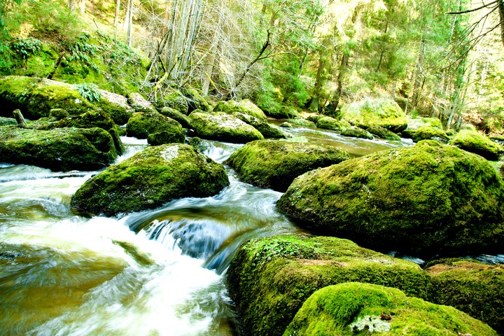 Wildbach