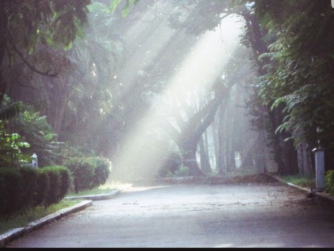 Good Morning