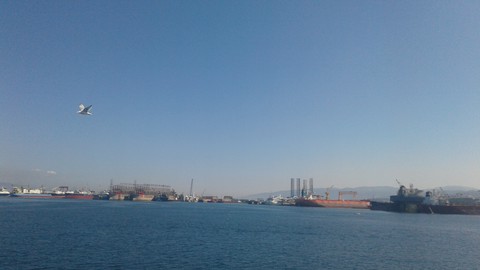 bu kuş misali