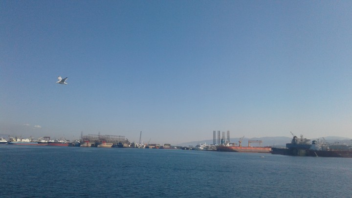 bu kuş misali