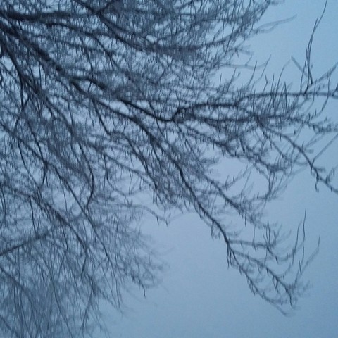 #winter