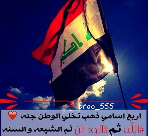 اني شيعي احبك يا اخي السني