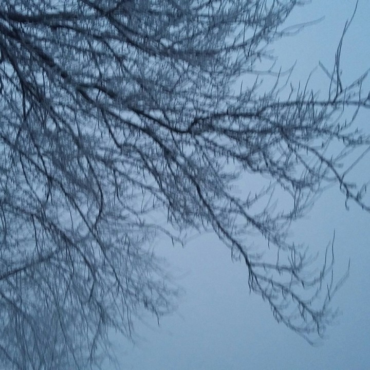#winter