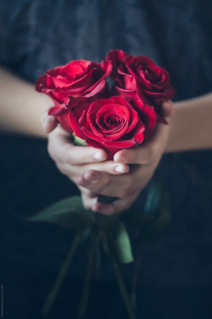 rose day