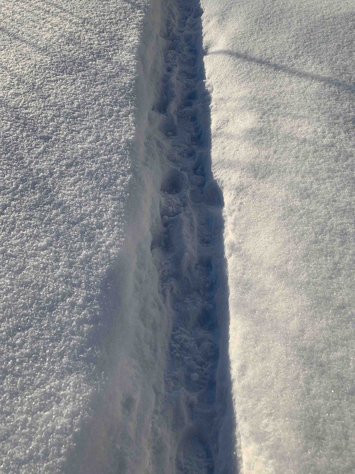 winter routes