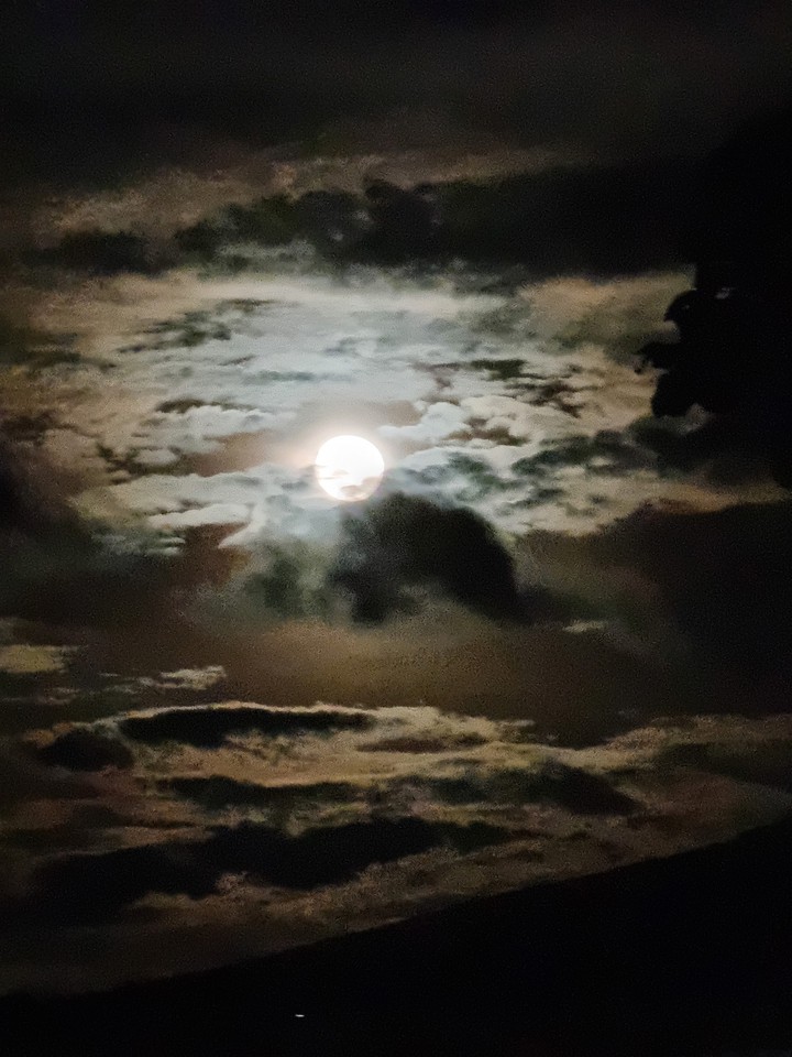 luna mia