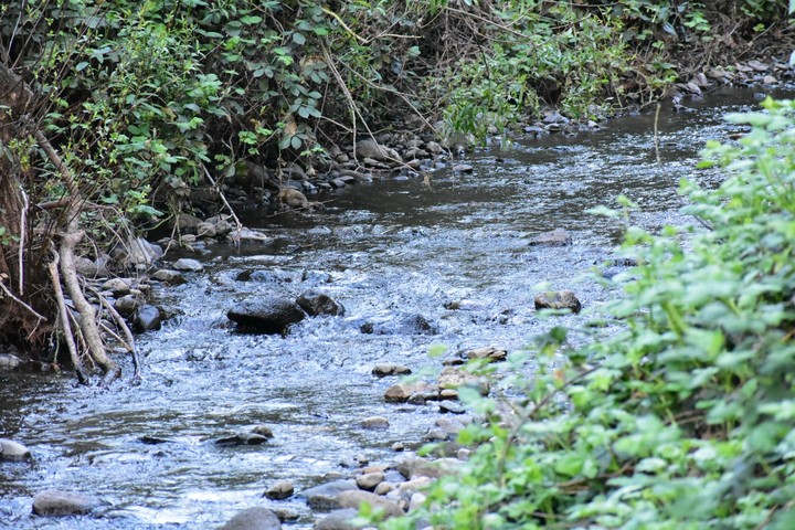 creekside