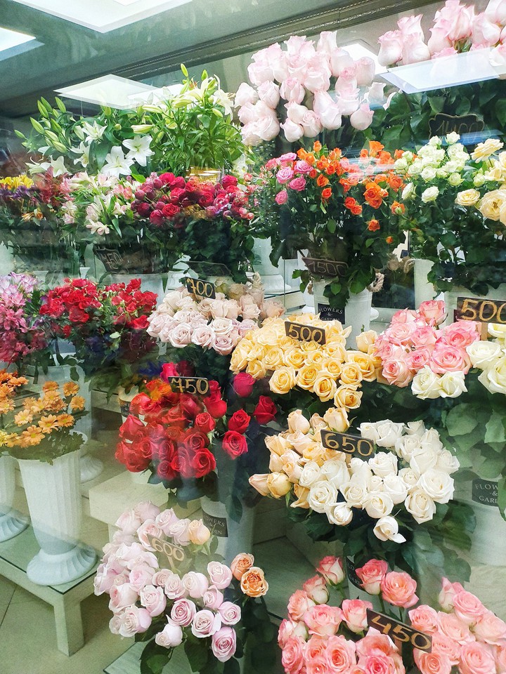 F l o w e r s