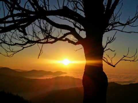 Im Südschwarzwald