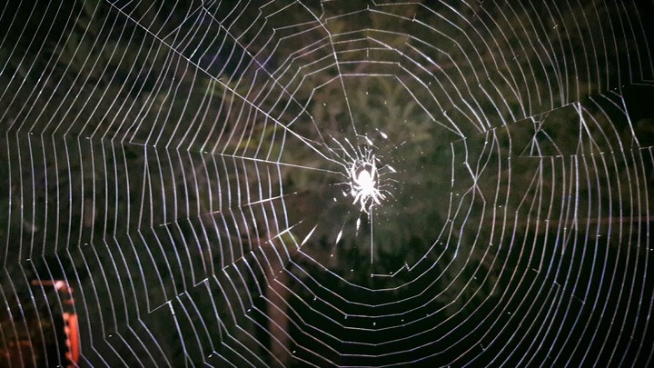 Spide....