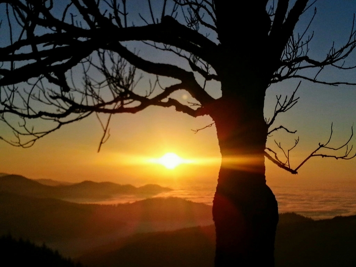 Im Südschwarzwald