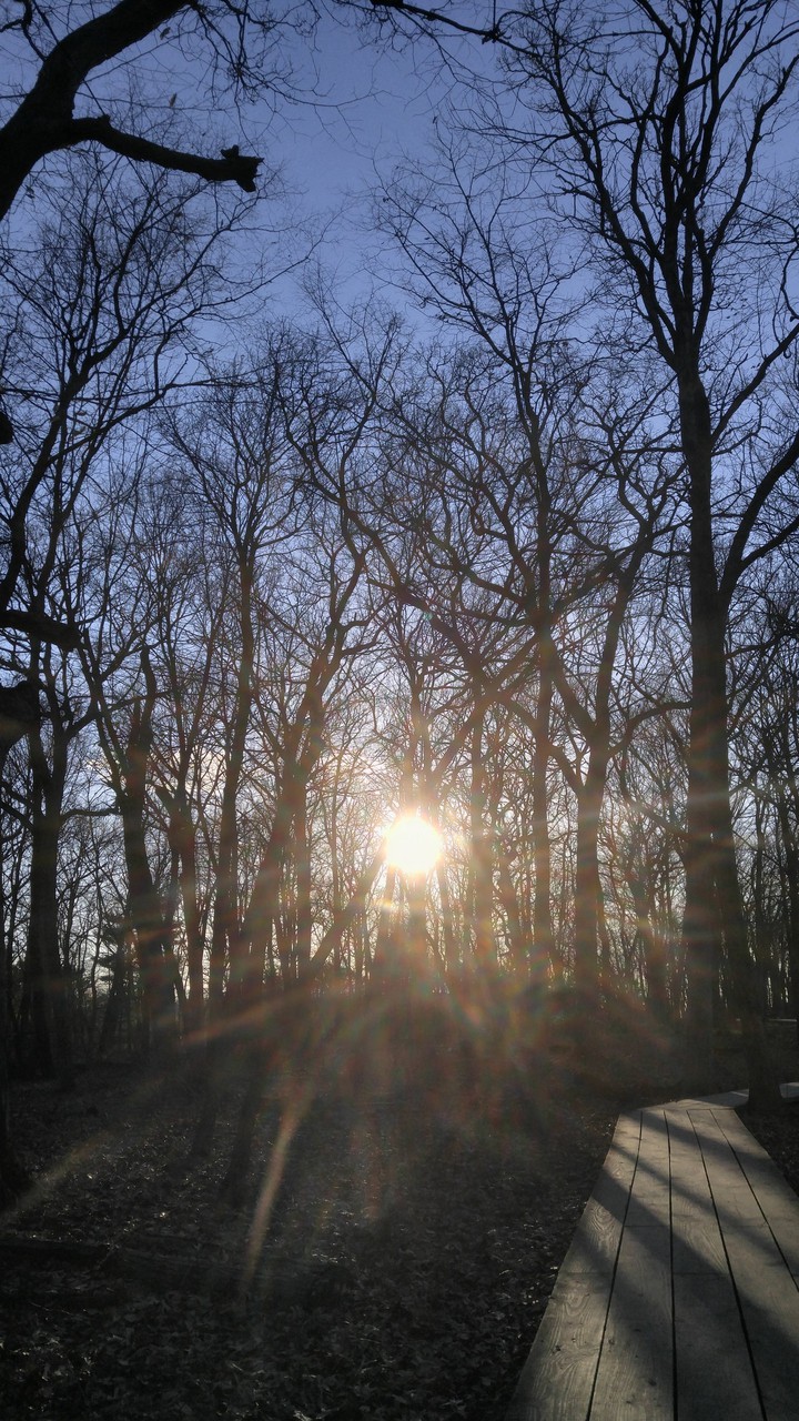 a walk in the park