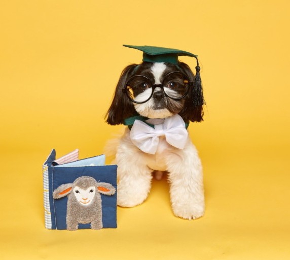 Congratulates on graduation
