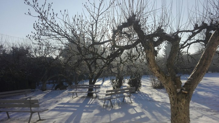 winter