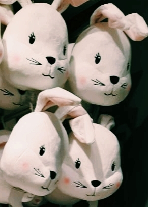 bunny love??