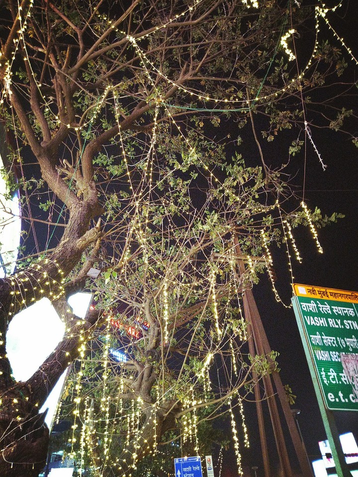 Lit web