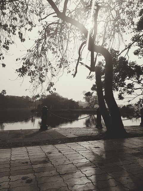 the lake