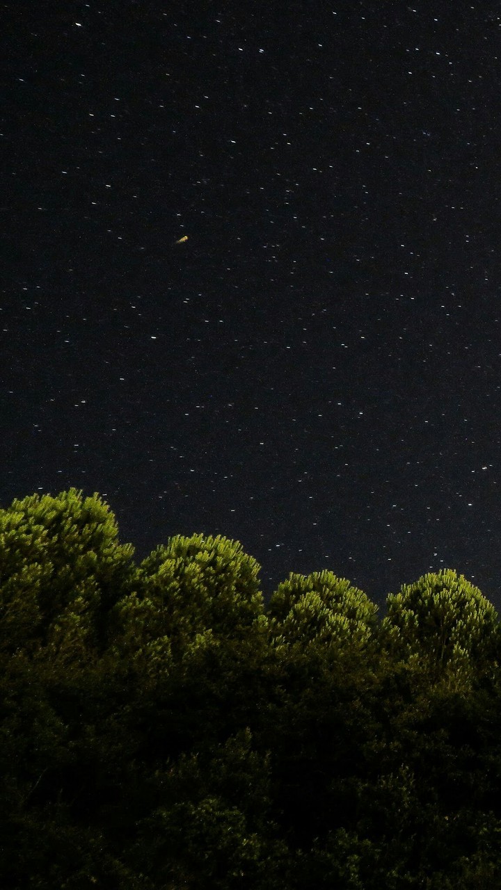 calmest_silence