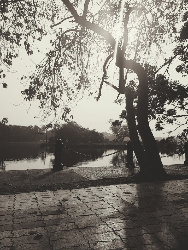 the lake