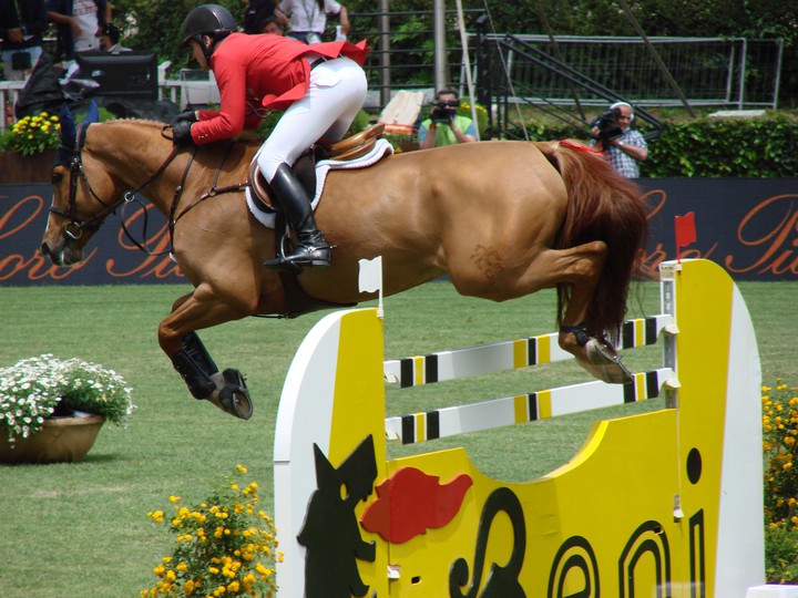Horse