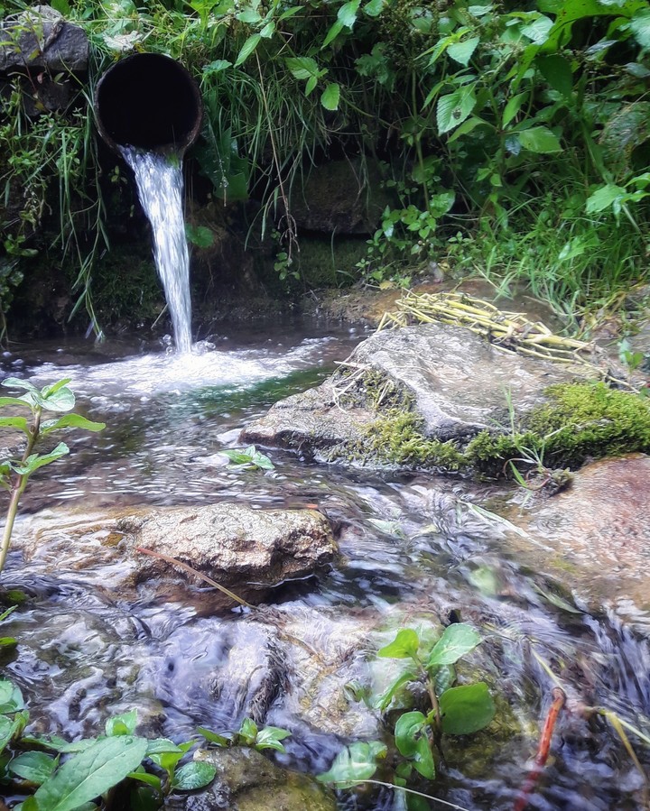 Water