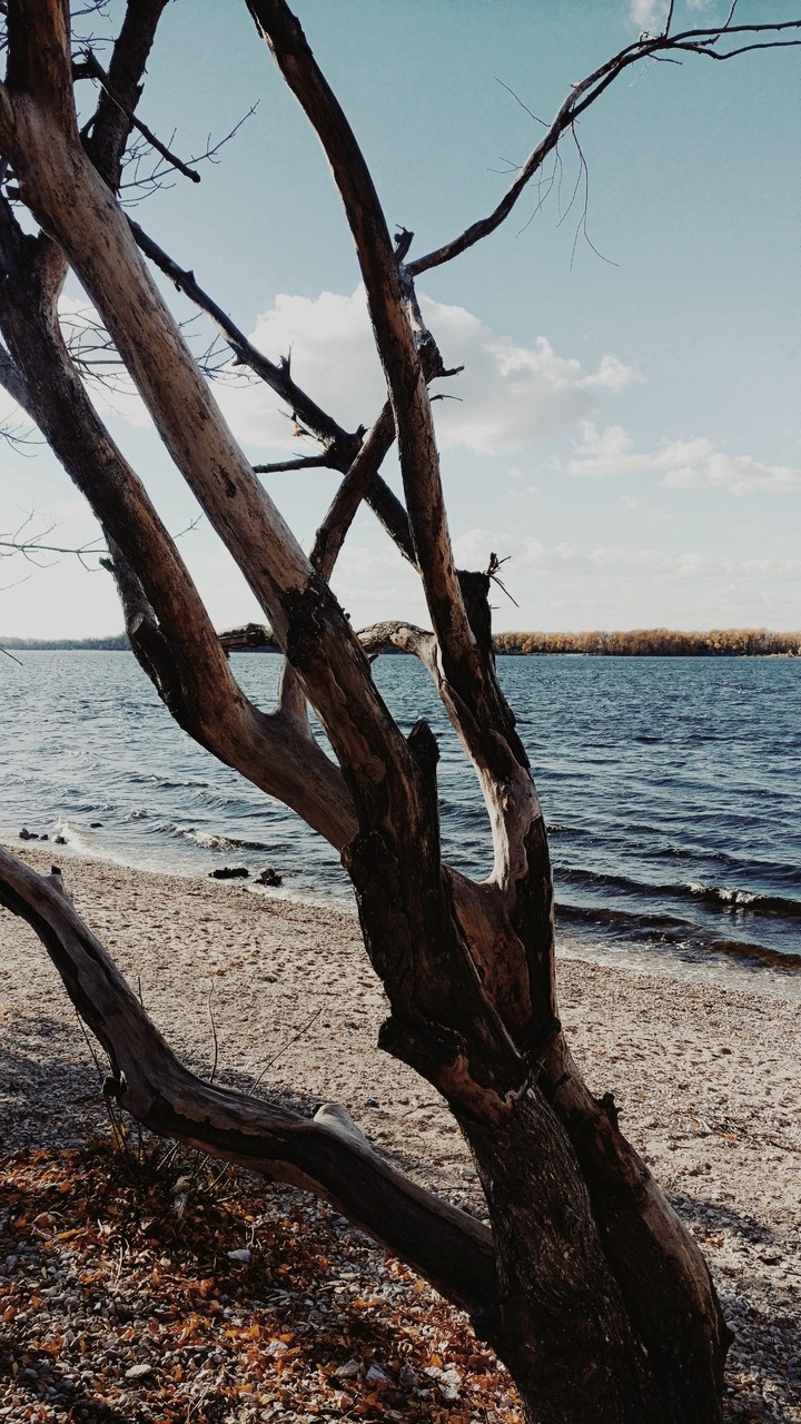River