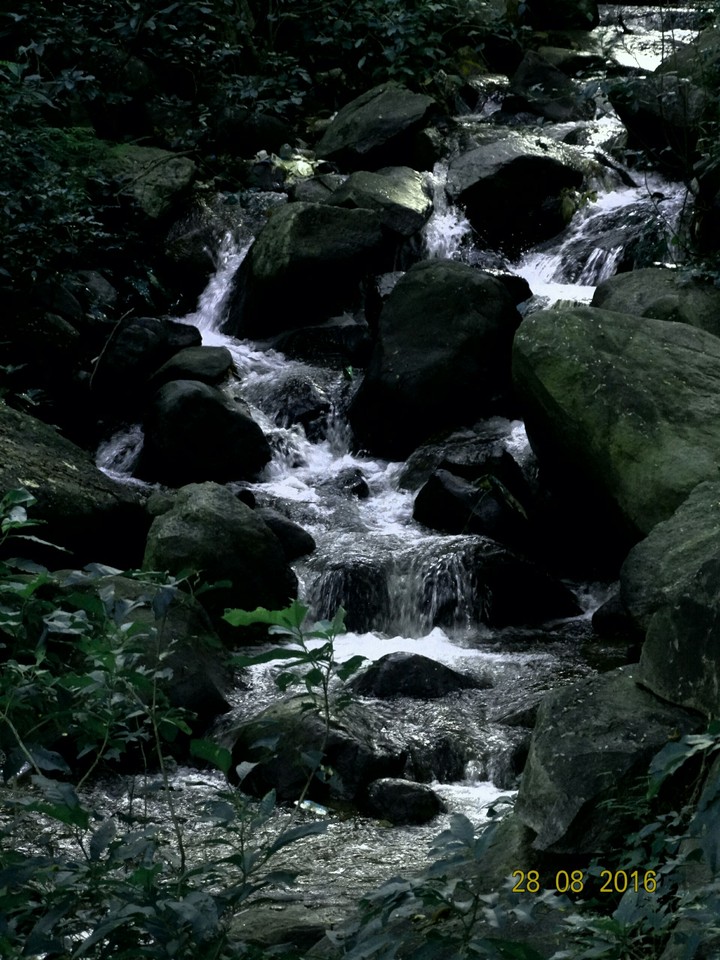 Nature