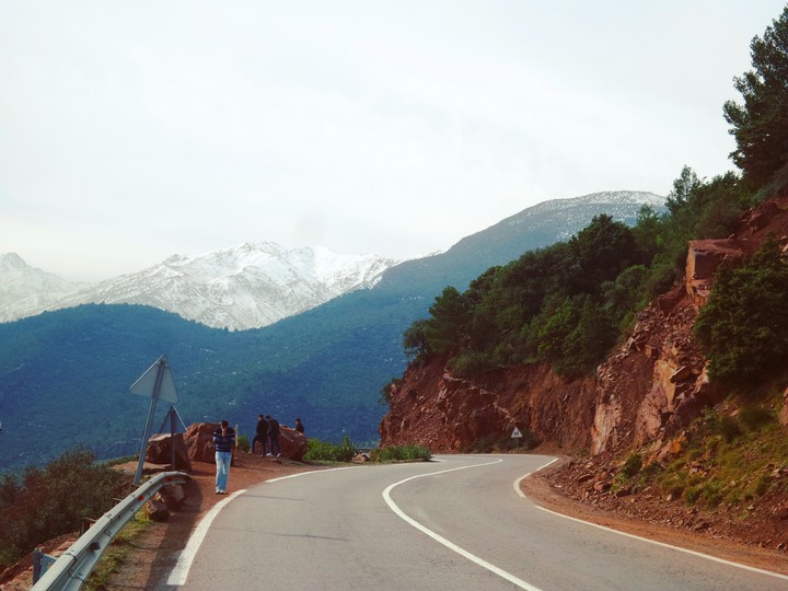 The Road Trip