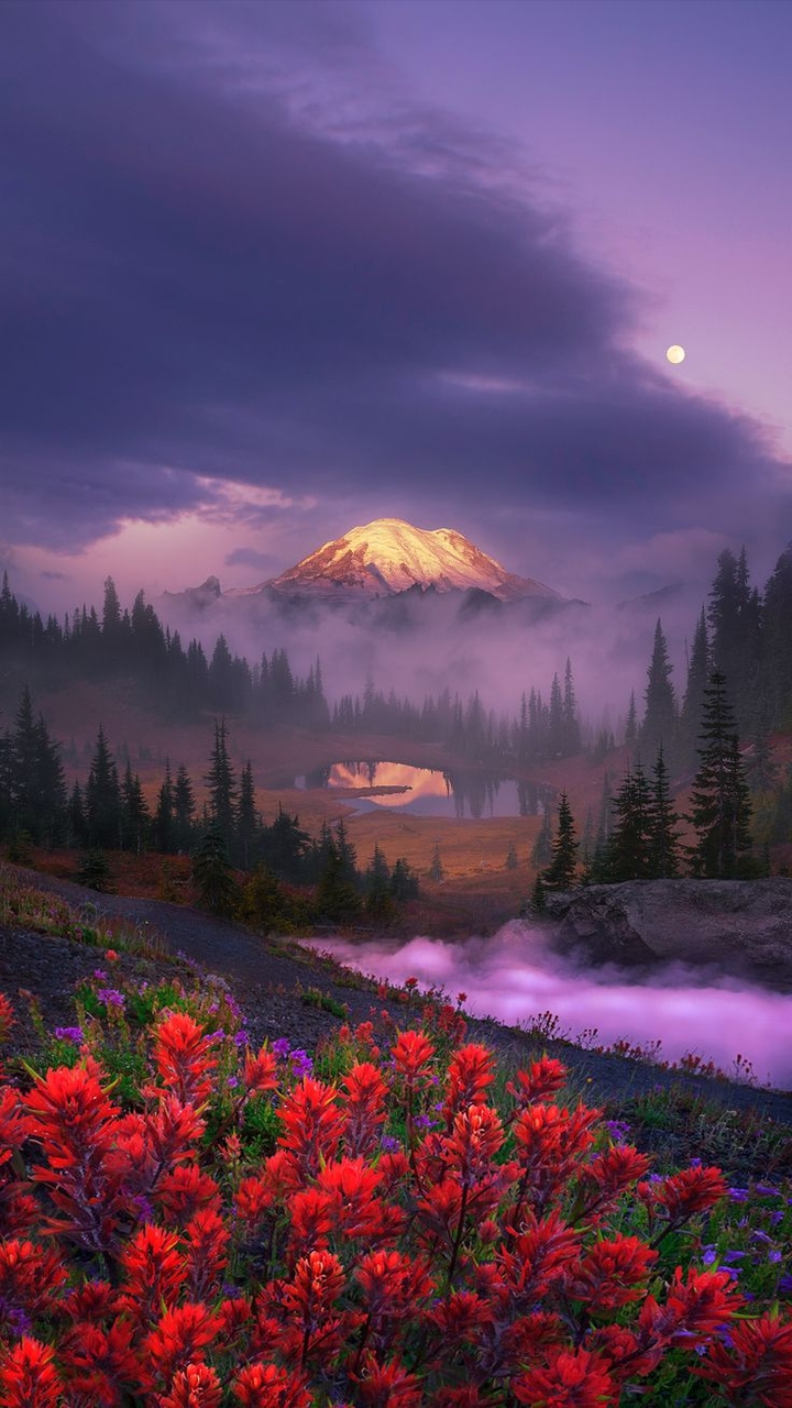Wilderness, cloud वॉलपेपर
