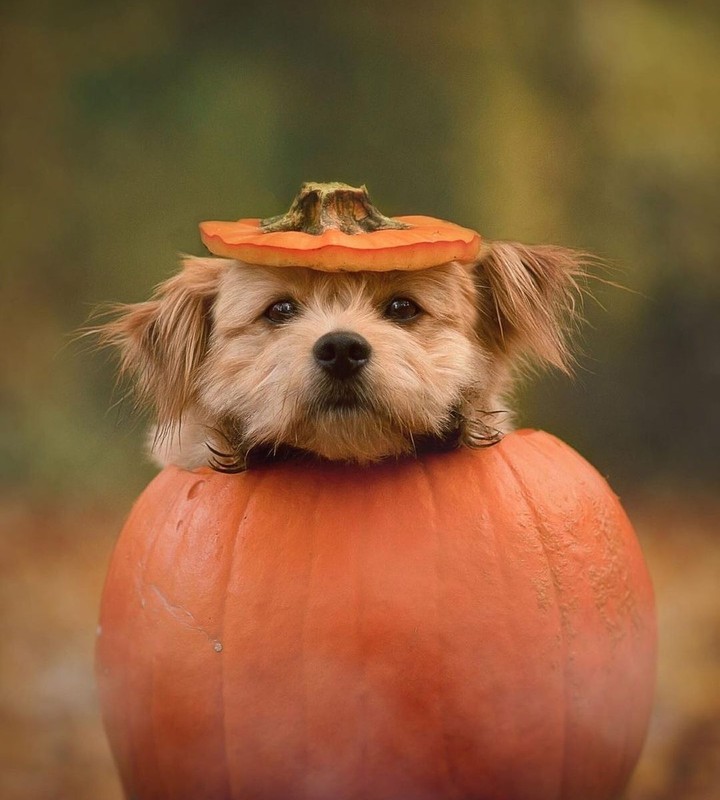 #cute