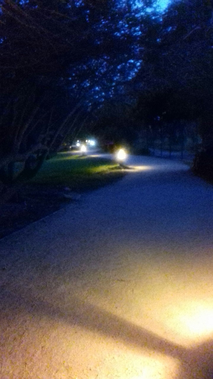 lights