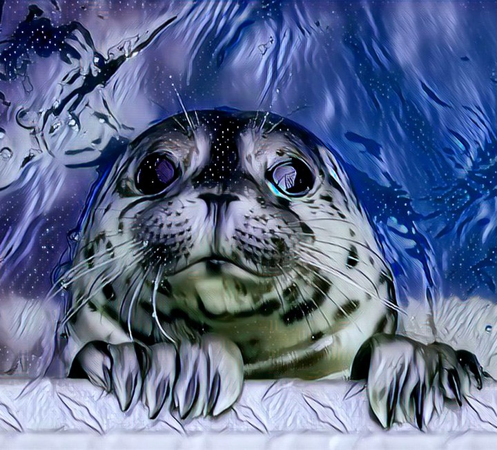 seal