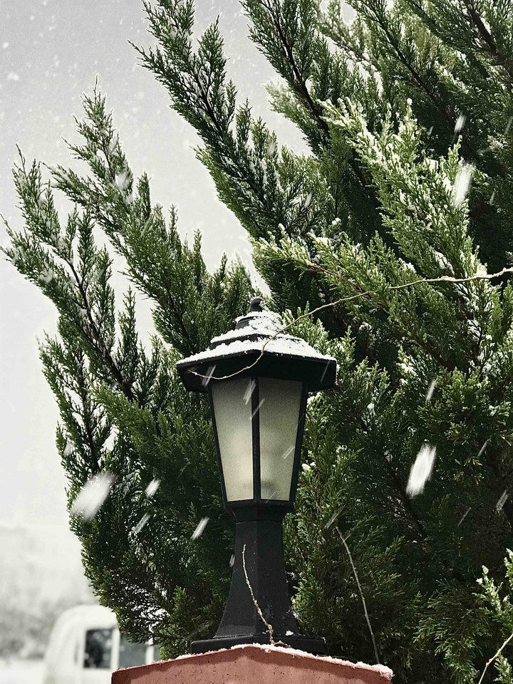 snowy