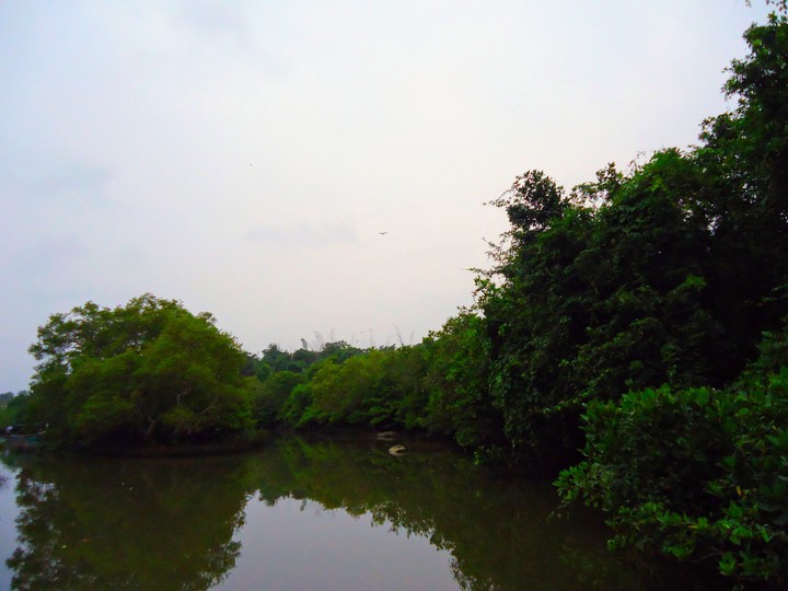 sky nature