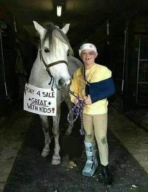 pony 4 sale