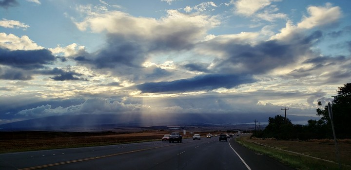 Rays