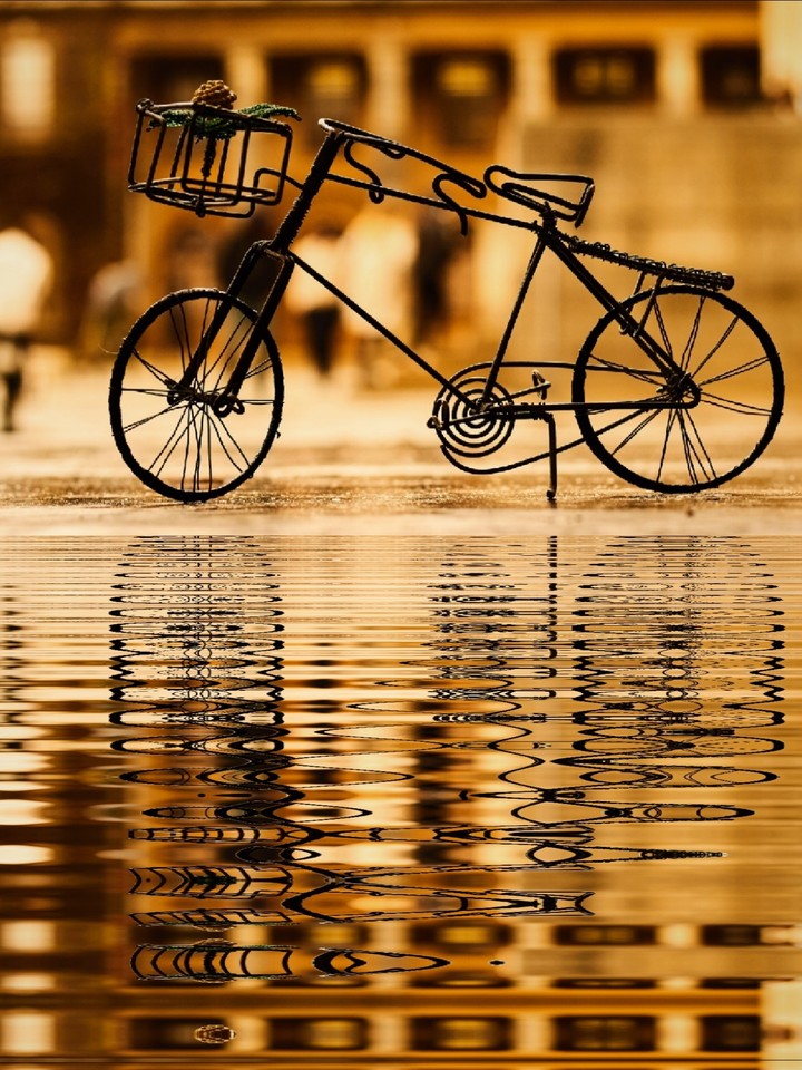 cycle