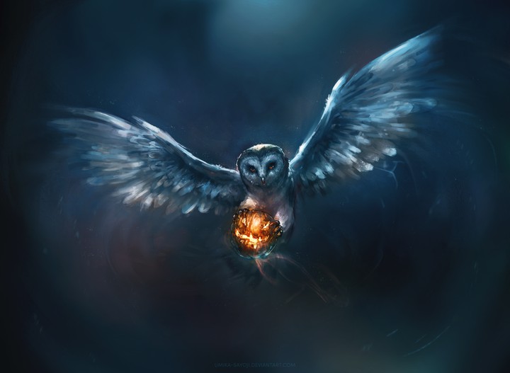 owl and magic