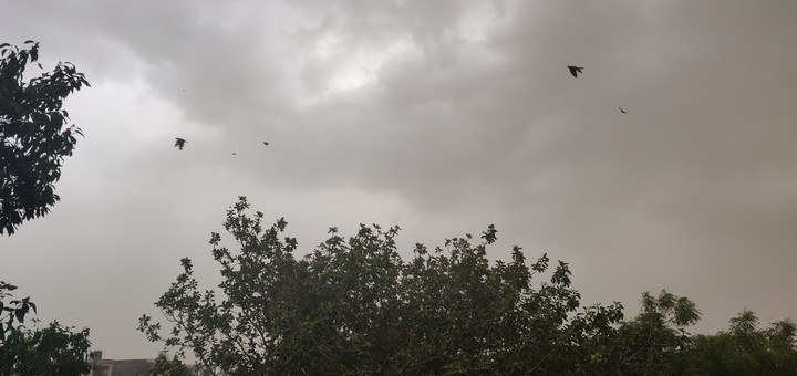 Delhi Monsoon