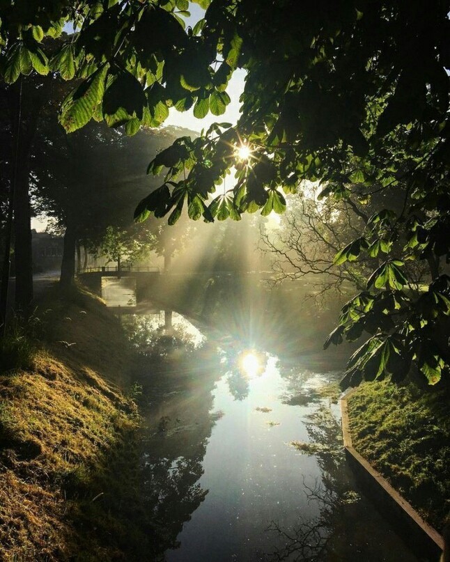 Sunny Holland