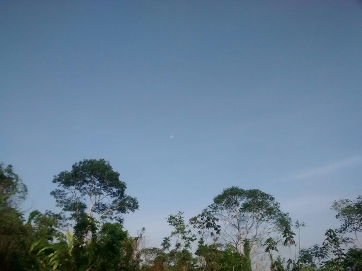 Amazon sky