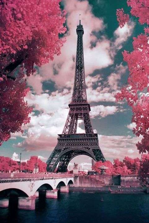 world