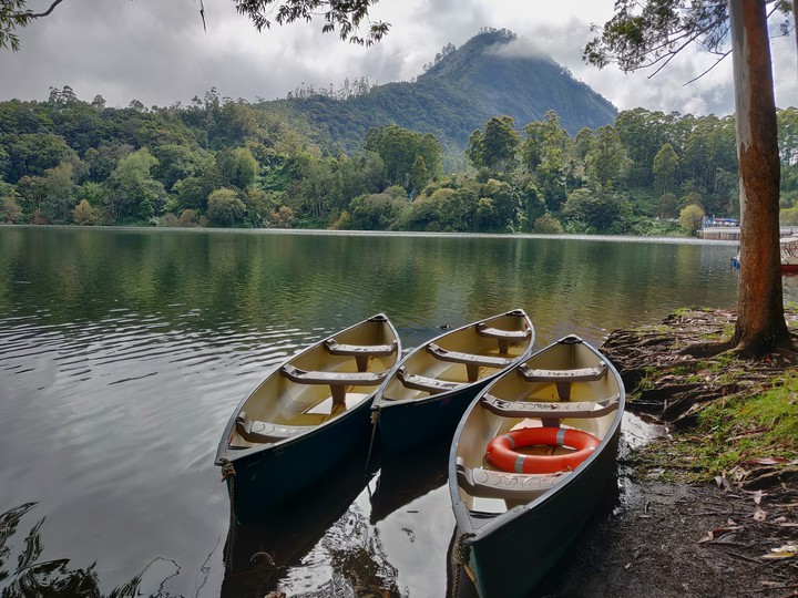 Munnar's serenity