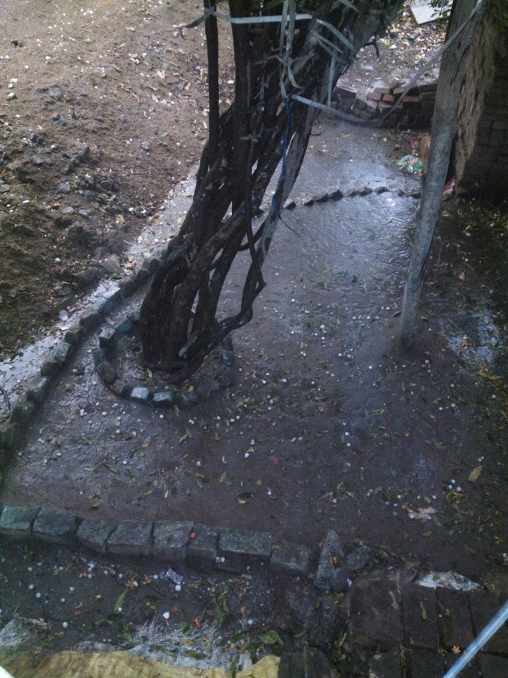 the rain fall