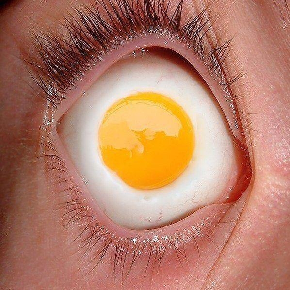 egg