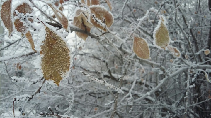 Snow