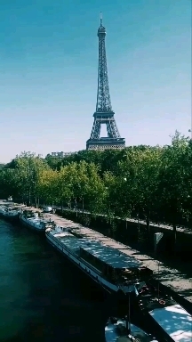 نتن