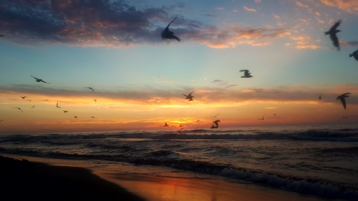 Sarbinowo  sunset